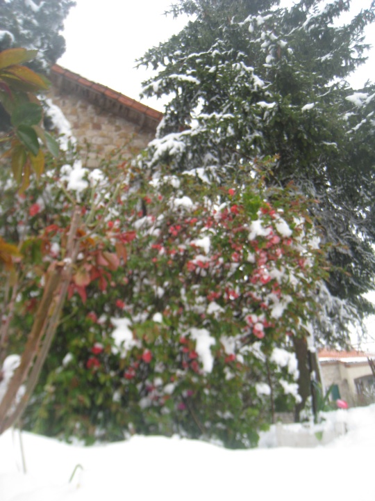 St Jacques 052.jpg